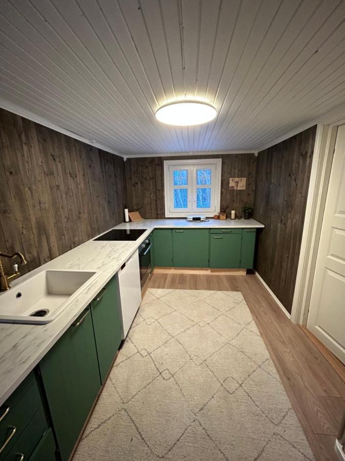 Beautiful Cabin By Mjosa. Villa Stange Buitenkant foto